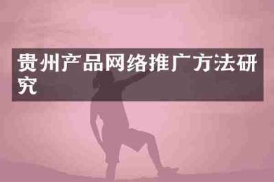 贵州产品网络推广方法研究