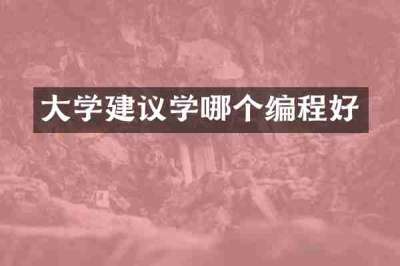 大学建议学哪个编程好