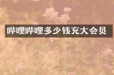 哔哩哔哩多少钱充大会员