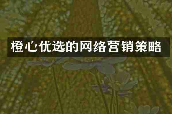 橙心优选的网络营销策略