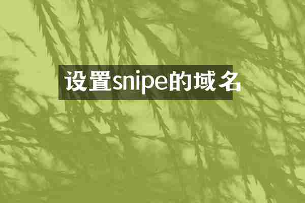 设置snipe的域名