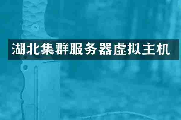 湖北集群服务器虚拟主机