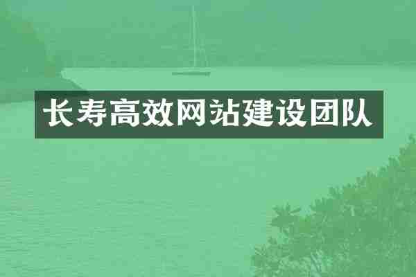 长寿高效网站建设团队