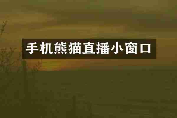 手机熊猫直播小窗口