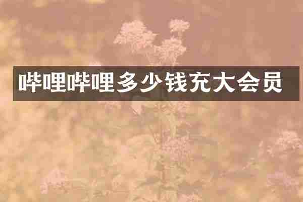哔哩哔哩多少钱充大会员