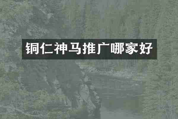 铜仁神马推广哪家好