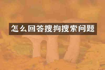 怎么回答搜狗搜索问题