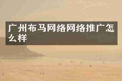 广州布马网络网络推广怎么样