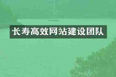 长寿高效网站建设团队