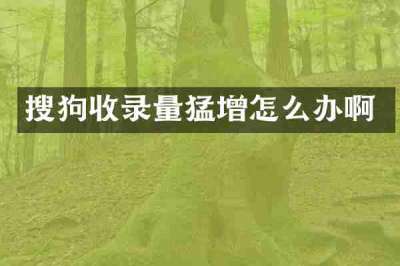搜狗收录量猛增怎么办啊