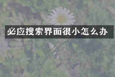 必应搜索界面很小怎么办