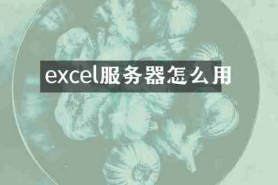 excel服务器怎么用