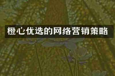 橙心优选的网络营销策略