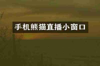 手机熊猫直播小窗口