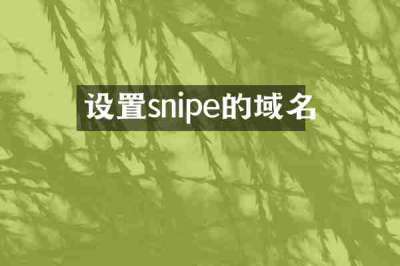 设置snipe的域名