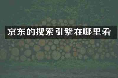 京东的搜索引擎在哪里看