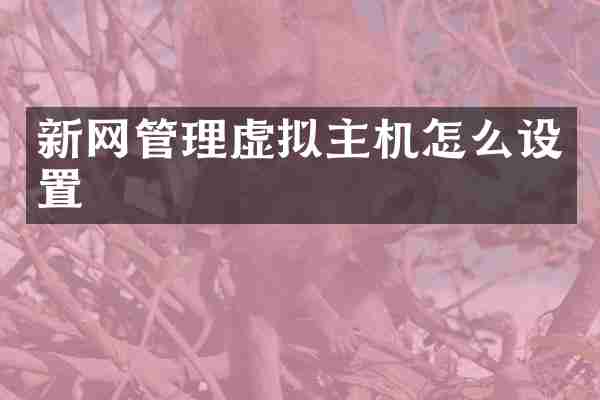 新网管理虚拟主机怎么设置