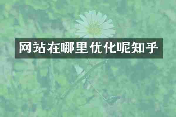 网站在哪里优化呢知乎