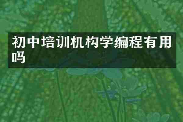 初中培训机构学编程有用吗