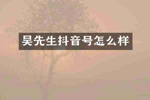 吴先生抖音号怎么样