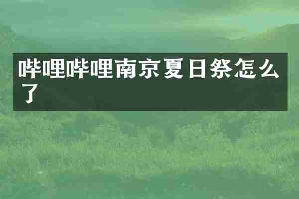 哔哩哔哩南京夏日祭怎么了