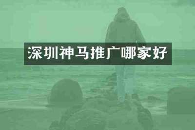 深圳神马推广哪家好