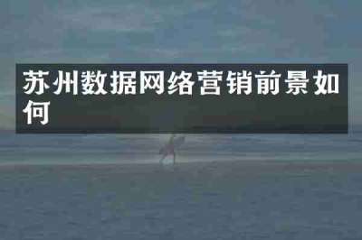 苏州数据网络营销前景如何