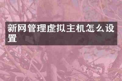 新网管理虚拟主机怎么设置