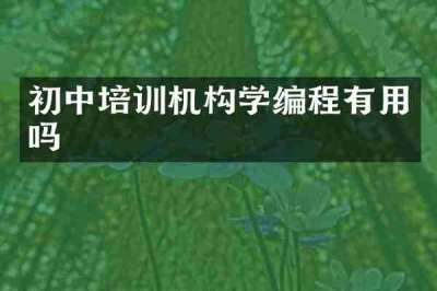 初中培训机构学编程有用吗