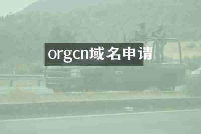 orgcn域名申请