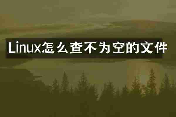 Linux怎么查不为空的文件