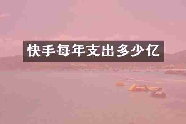 快手每年支出多少亿