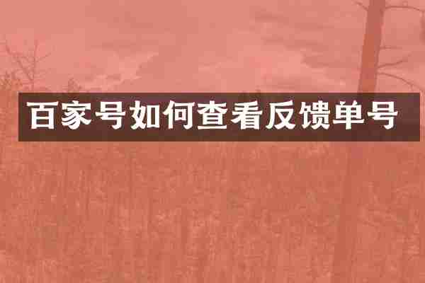 百家号如何查看反馈单号
