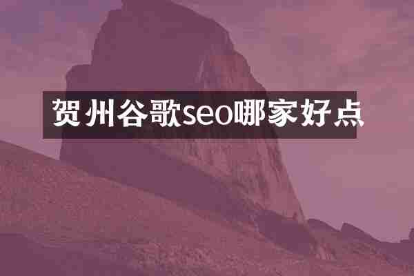 贺州谷歌seo哪家好点