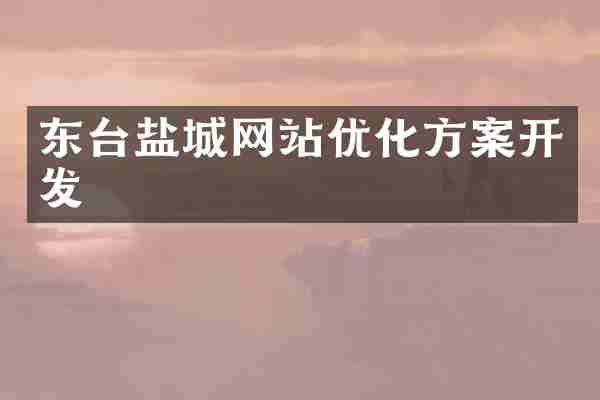 东台盐城网站优化方案开发