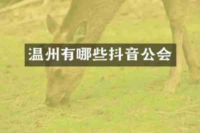 温州有哪些抖音公会