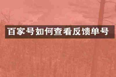 百家号如何查看反馈单号