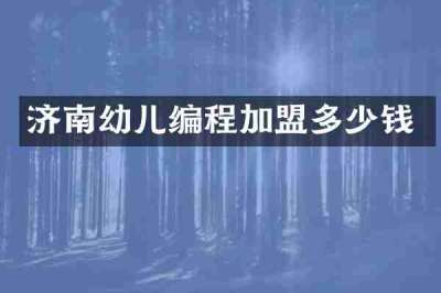 济南幼儿编程加盟多少钱