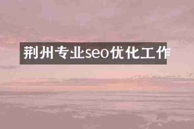 荆州专业seo优化工作
