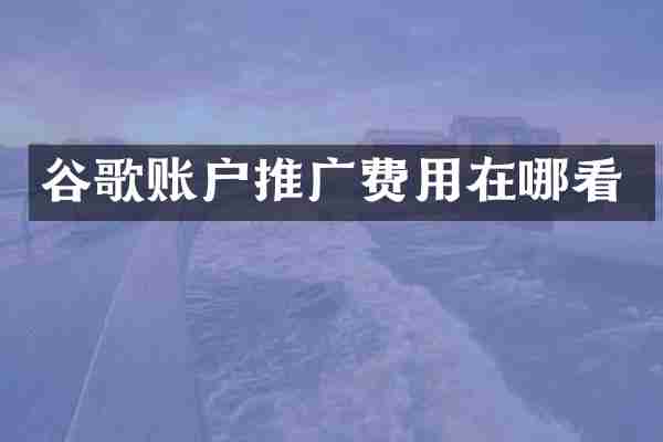 谷歌账户推广费用在哪看