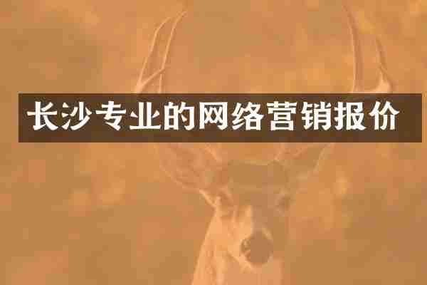 长沙专业的网络营销报价