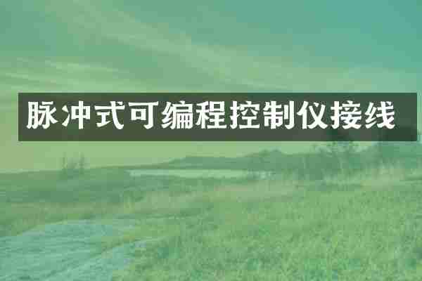脉冲式可编程控制仪接线