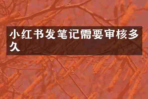 小红书发笔记需要审核多久