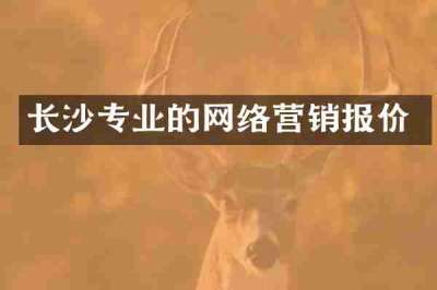 长沙专业的网络营销报价