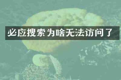 必应搜索为啥无法访问了