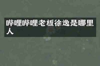 哔哩哔哩老板徐逸是哪里人