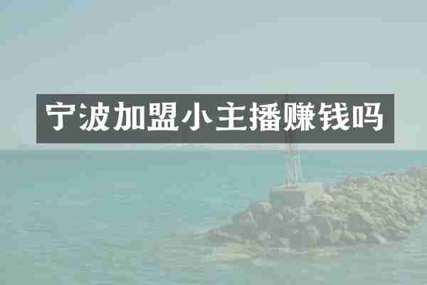 宁波加盟小主播赚钱吗