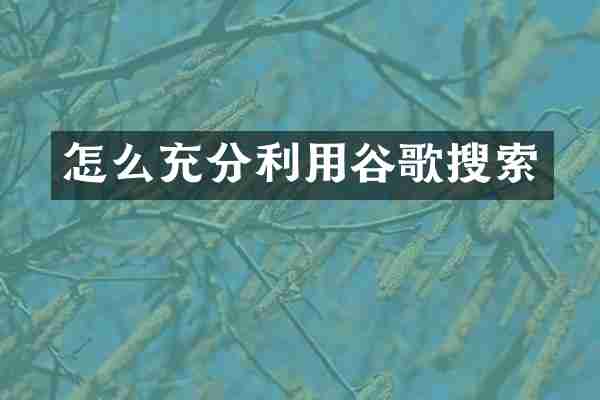 怎么充分利用谷歌搜索