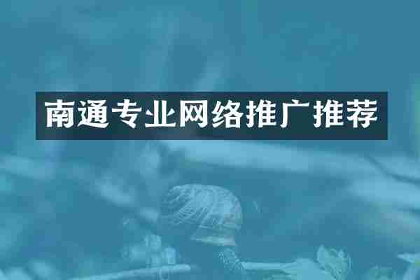 南通专业网络推广推荐