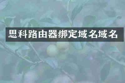 思科路由器绑定域名域名